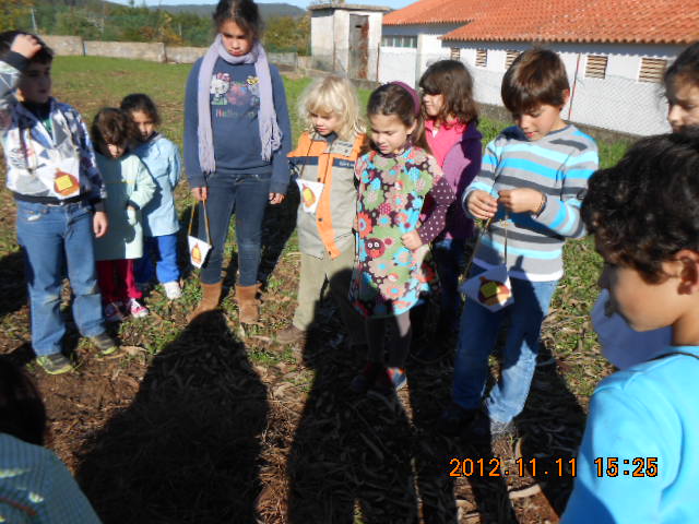 Magusto EB1 e JI de Venda dos Olivais 002