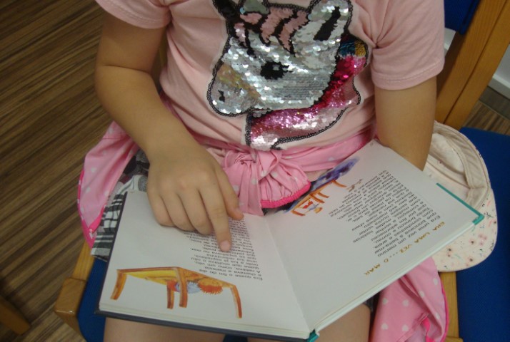 dia do livro Small